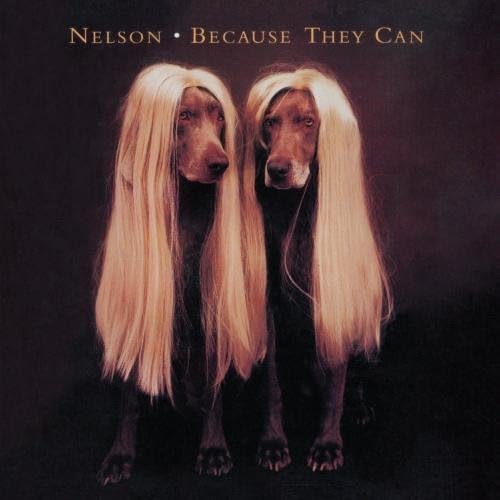 Nelson - Perfect Storm: After the Rain World Tour 1991 - Amazon